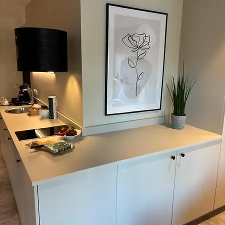 Apart-hotel Brera Meckenbeuren-friedrichshafen 3*