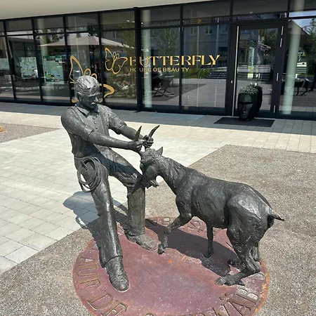 Brera Meckenbeuren-friedrichshafen Lejlighedshotel